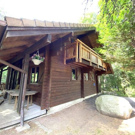 Le Renard Chalet En Bois 라브레세 외부 사진